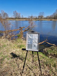 d52d971a-fbb3-459b-8d98-a044a568d7fa