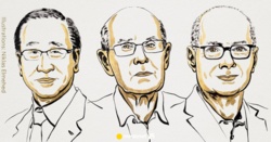 Susumu Kitagawa, Richard Robson i Omar M. Yaghi z Nagrodą Nobla w dziedzinie chemii