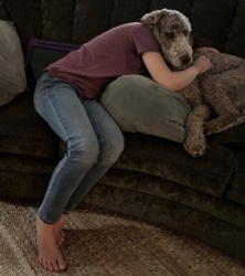 317731c3-e3db-43ad-add3-3b85b1578ecb