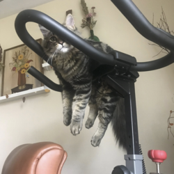 0c4a8afc-79d5-45c6-a28e-be80c8792f36