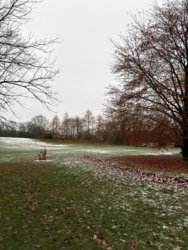 5b064039-d83c-4fcf-8639-3a61a23e04f6