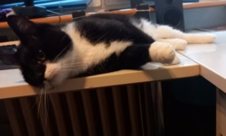 27645e94-7e71-45ef-8bbd-ebf13e77d9ea