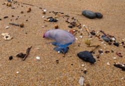 2f258a9f-c4c6-4362-9171-b28f71aecc3f