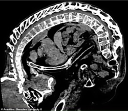 e227c54c-d78a-4c51-88f3-7fa8ab0997cc