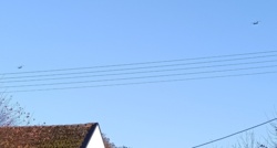 87a43022-dd93-47ec-9366-18de0a6f1678