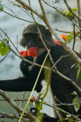 1582d05c-8302-4344-87c4-b00babc51b9d