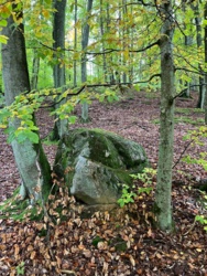 0cfcf79a-5a0b-4c12-b7b4-2c0ecae9bcac