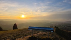 ae26d59d-9079-4b81-8d46-95987b5fa3d0