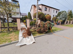 fb663808-ba1a-4d1a-95fe-a41277ea4495