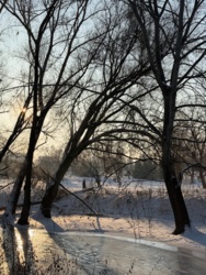 6c104dad-907e-4f92-bbb5-c52bb05c92c7