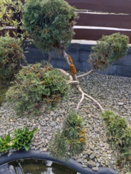 4ad14b15-7e6f-4a07-a5cb-729196a19479