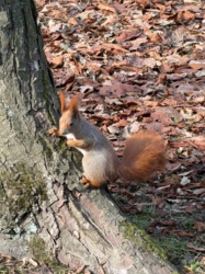 08d28988-a789-4847-a134-c1f6d2d3763f