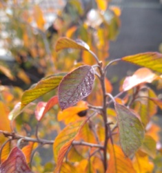 abe4f49d-995f-41f0-8adb-9fc0a4690697