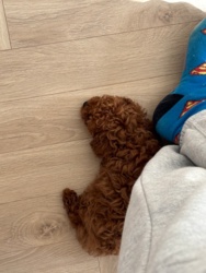 5a73f9a0-439f-4291-975e-9b2a6ef81c25