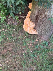 179a1261-2c90-4f62-9511-834132b2ce33