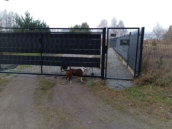 607292ac-021f-4c6a-9c02-1cba58e4b330