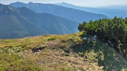 a86b9926-b2a4-499c-bdbb-166e4dda9ea9