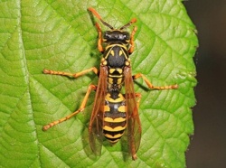 d7977b6e-bff8-4a03-93c8-f88fca29c6d3