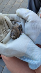 acef4559-90ff-49bb-b3d8-5cddfd755ccb