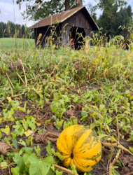 5abc5e0b-c102-4b7e-96a4-2d68a1e5bcd3