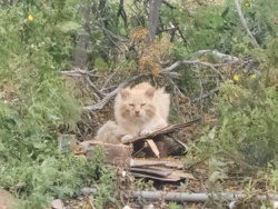 4d58e9c1-661e-4519-896c-72bc70e41f30