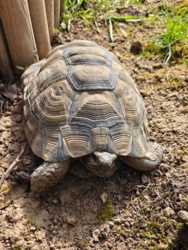 9cd7ff38-6439-40c6-9ddd-b721059b5a08