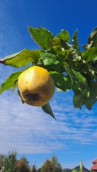 3f6943c8-15aa-4a5a-a529-f160e1b1b425