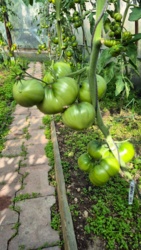 ada0a1c0-7937-468b-85a4-ea2b17a4dab8