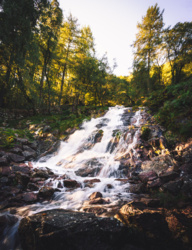 2effddb6-2ee7-4062-9d33-01eeeb03387d