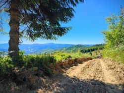 53564090-01f2-4e95-be3e-7bf3f3bc9aa4