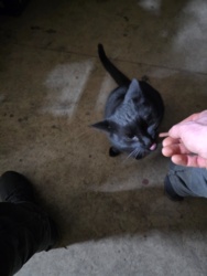 4a2d0966-c081-4b7d-9994-e8e7df915e26