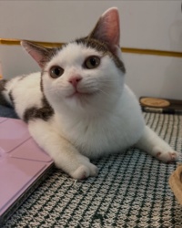 5f989494-09e1-49f9-868f-792fa7aa8f43