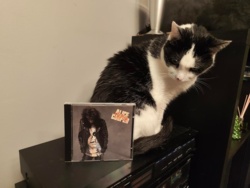 fa79b6ae-558f-41af-8bf9-5df7714a8729