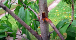 eec31fb0-e08d-4825-a87c-dcda47c48328