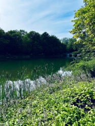 9856ff28-84db-4559-a05a-d8b9a933655b