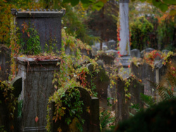 4efbc997-80e4-4e27-acdf-ec4aba7ae9f7