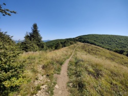 b0943d1c-cf22-4f3b-85d9-79373eaf8f13