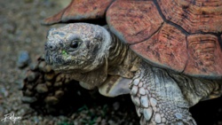 49793f61-817c-49eb-9572-b577c14b2f06