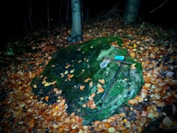 9d369ac1-5958-4674-b3d0-a41128d63724