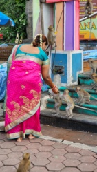 7e25b651-cce9-45bd-9d0d-38f5d899e082