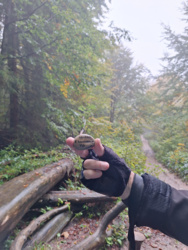 c090c5a2-9869-4dd4-8213-5f9ed251d7cd