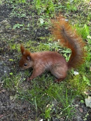 221bee14-cdca-4f76-9975-8ba0a2092389