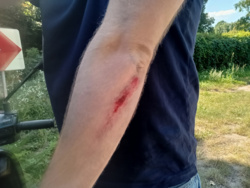 0a2fd08f-daaa-4e42-ad7f-9f802dc08b45