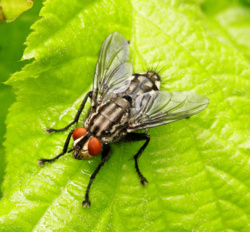 392b12a6-457d-4068-84f7-3f5bdcada0be