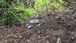 26283c8c-fc95-4412-be04-7686a0ecf3d6