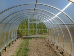 cf79699d-832d-4ffd-9997-0871804fe8e2