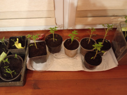 5247393b-0ab3-4e34-8633-074b20a5fb9e