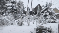 2f29fc35-9911-4bd9-9f7a-516bbbf08b09