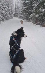 b0f7c8a1-d13b-4715-bbd3-040804982800