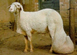 07661430-f483-489a-8578-be0bf7ac74b2